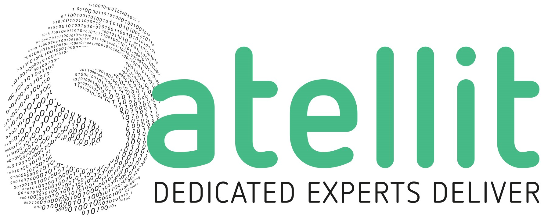 Satellit — Belgian IT consultancy